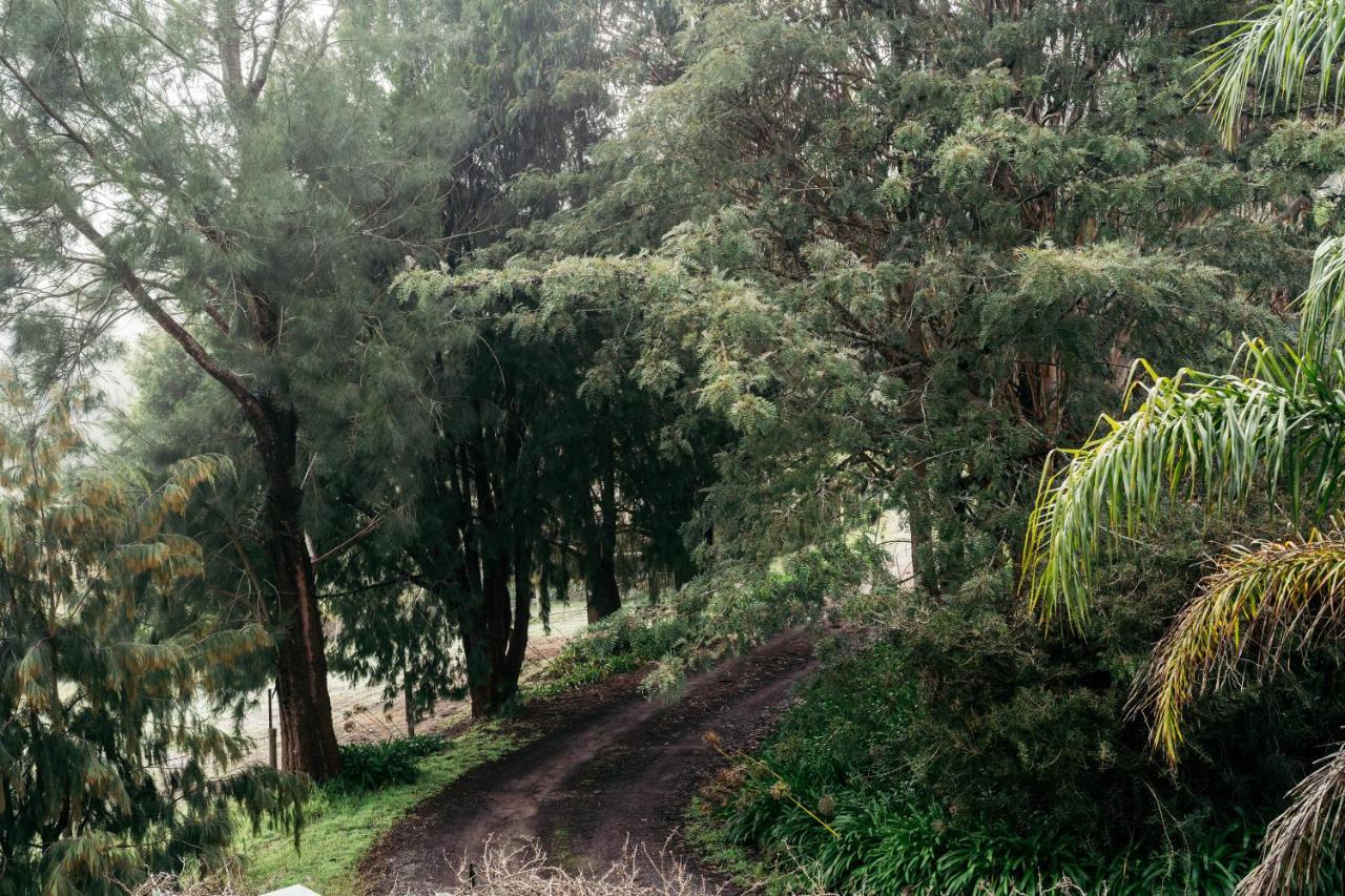Deville At Healesville Exterior photo
